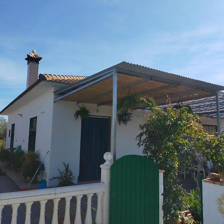 Alojamiento Rural La Perdiz La Puebla de los Infantes Bagian luar foto